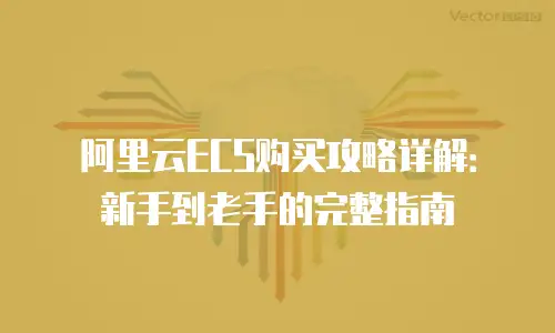 阿里云ECS购买攻略详解：新手到老手的完整指南