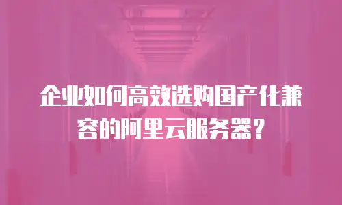 企业如何高效选购国产化兼容的阿里云服务器？