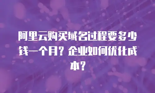 阿里云购买域名过程要多少钱一个月？企业如何优化成本？