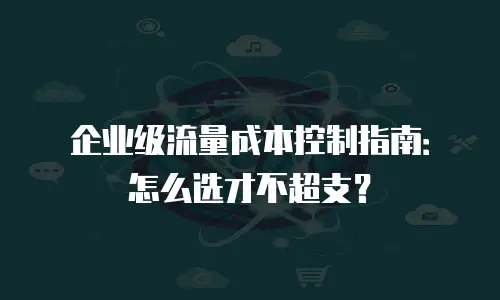 企业级流量成本控制指南：怎么选才不超支？