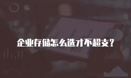 企业存储怎么选才不超支？