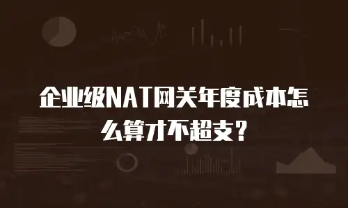 企业级NAT网关年度成本怎么算才不超支？