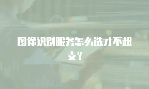 图像识别服务怎么选才不超支？