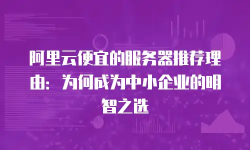 阿里云便宜的服务器推荐理由：为何成为中小企业的明智之选