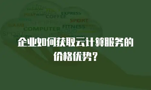 企业如何获取云计算服务的价格优势？