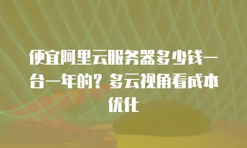 便宜阿里云服务器多少钱一台一年的？多云视角看成本优化