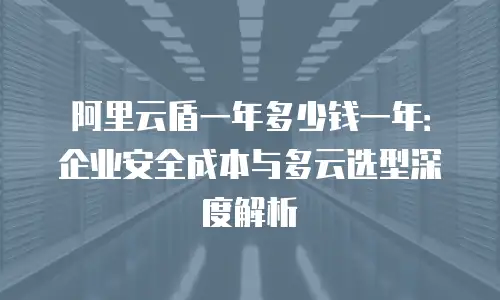 阿里云盾一年多少钱一年：企业安全成本与多云选型深度解析