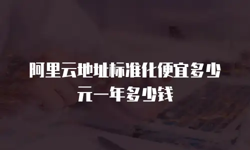 阿里云地址标准化便宜多少元一年多少钱