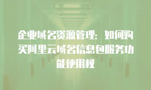 企业域名资源管理：如何购买阿里云域名信息包服务功能使用权