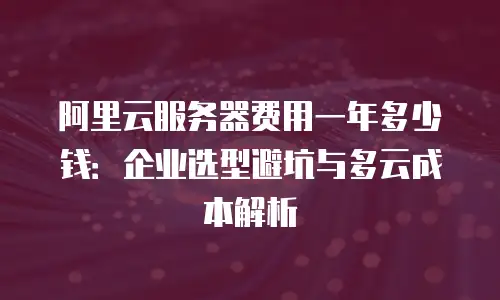 阿里云服务器费用一年多少钱：企业选型避坑与多云成本解析