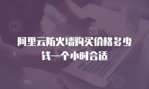 阿里云防火墙购买价格多少钱一个小时合适