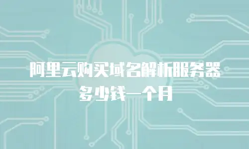 阿里云购买域名解析服务器多少钱一个月