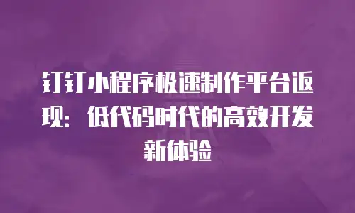 钉钉小程序极速制作平台返现：低代码时代的高效开发新体验