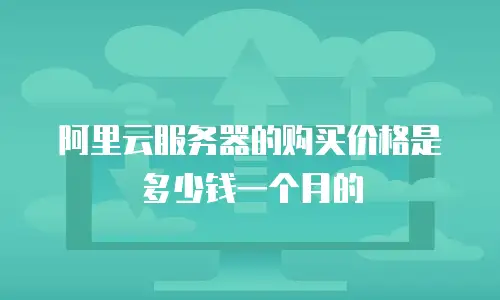 阿里云服务器的购买价格是多少钱一个月的
