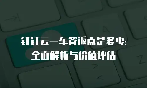 钉钉云一车管返点是多少：全面解析与价值评估