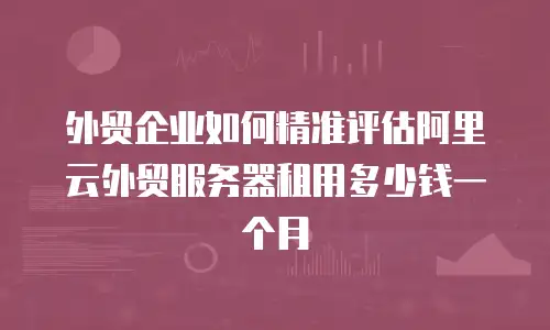外贸企业如何精准评估阿里云外贸服务器租用多少钱一个月