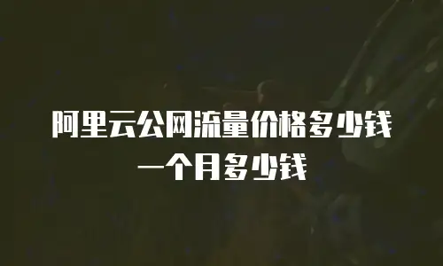 阿里云公网流量价格多少钱一个月多少钱