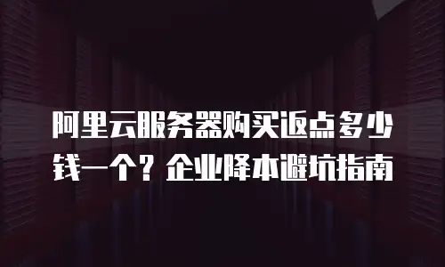 阿里云服务器购买返点多少钱一个？企业降本避坑指南