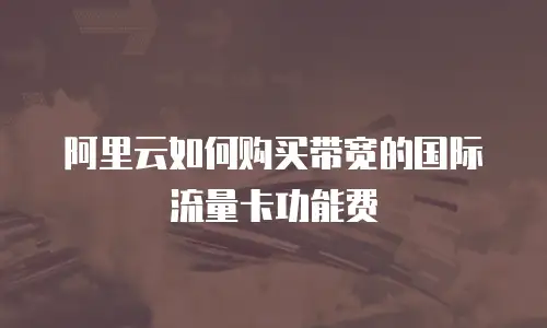 阿里云如何购买带宽的国际流量卡功能费