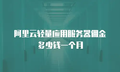 阿里云轻量应用服务器佣金多少钱一个月