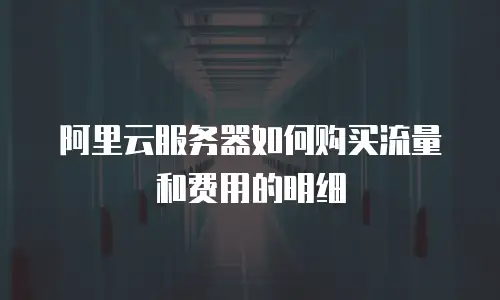阿里云服务器如何购买流量和费用的明细
