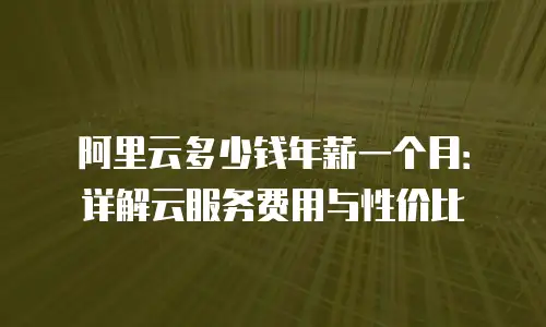 阿里云多少钱年薪一个月：详解云服务费用与性价比