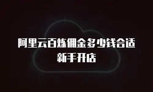 阿里云百炼佣金多少钱合适新手开店