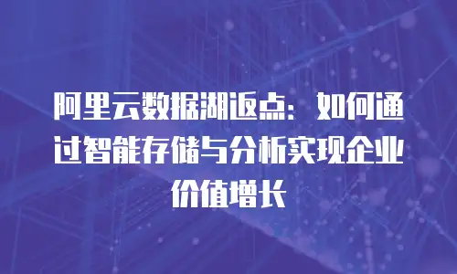 阿里云数据湖返点：如何通过智能存储与分析实现企业价值增长