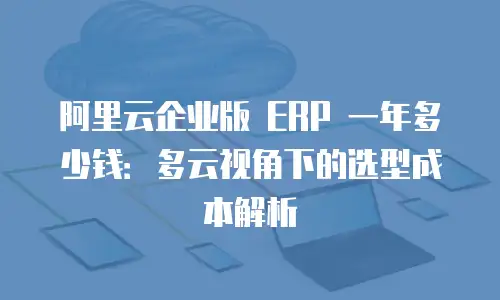 阿里云企业版 ERP 一年多少钱：多云视角下的选型成本解析