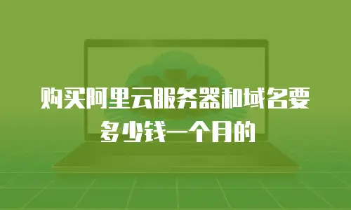 购买阿里云服务器和域名要多少钱一个月的