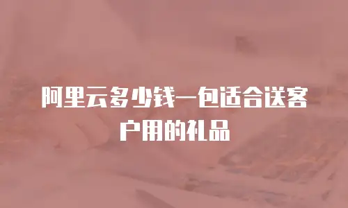 阿里云多少钱一包适合送客户用的礼品