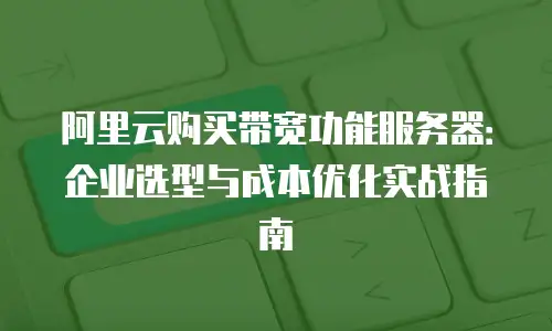 阿里云购买带宽功能服务器：企业选型与成本优化实战指南