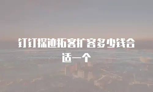 钉钉探迹拓客扩容多少钱合适一个