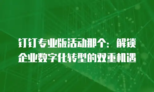 钉钉专业版活动那个：解锁企业数字化转型的双重机遇