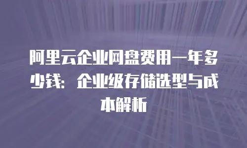 阿里云企业网盘费用一年多少钱：企业级存储选型与成本解析