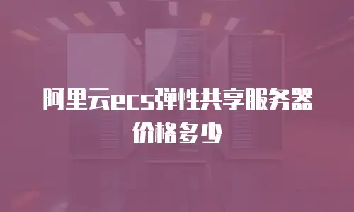 阿里云ecs弹性共享服务器价格多少