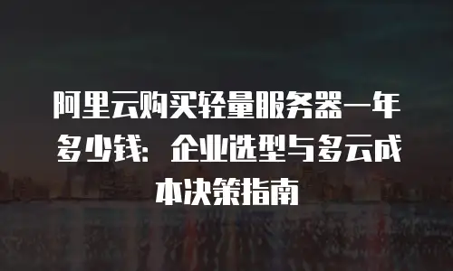 阿里云购买轻量服务器一年多少钱：企业选型与多云成本决策指南