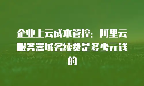 企业上云成本管控：阿里云服务器域名续费是多少元钱的
