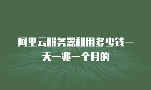 阿里云服务器租用多少钱一天一兆一个月的