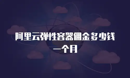 阿里云弹性容器佣金多少钱一个月