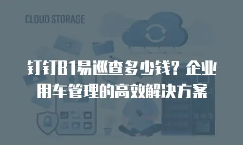 钉钉B1易巡查多少钱？企业用车管理的高效解决方案