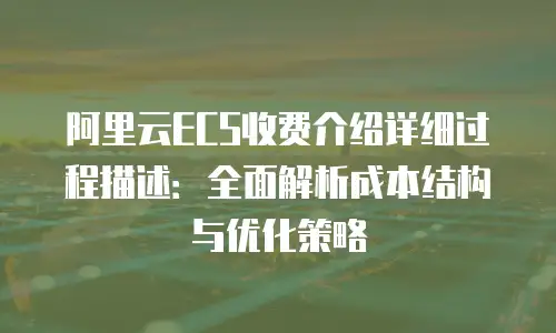 阿里云ECS收费介绍详细过程描述：全面解析成本结构与优化策略