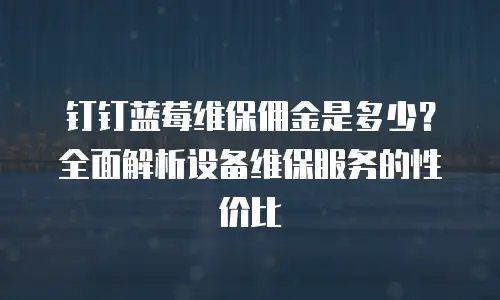 钉钉蓝莓维保佣金是多少？全面解析设备维保服务的性价比