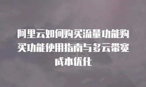 阿里云如何购买流量功能购买功能使用指南与多云带宽成本优化