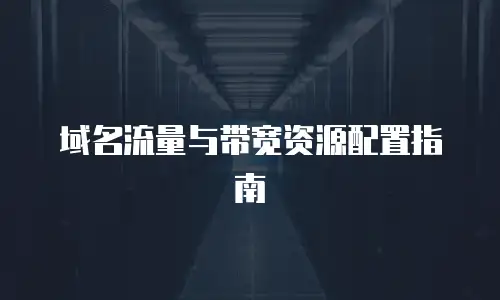 域名流量与带宽资源配置指南