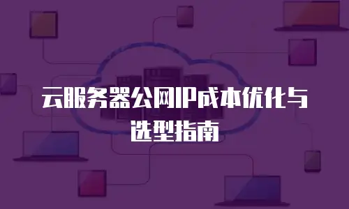 云服务器公网IP成本优化与选型指南