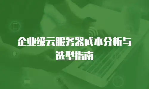 企业级云服务器成本分析与选型指南