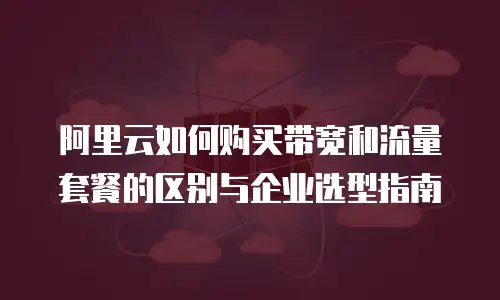 阿里云如何购买带宽和流量套餐的区别与企业选型指南