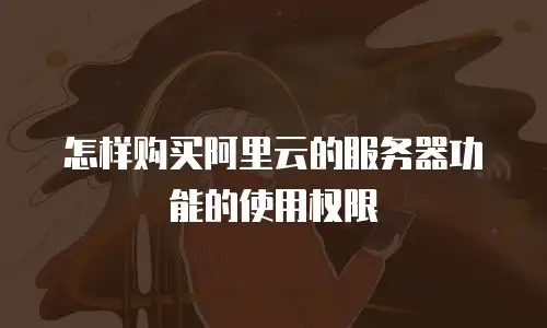 怎样购买阿里云的服务器功能的使用权限