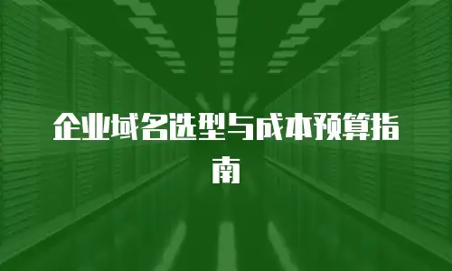 企业域名选型与成本预算指南
